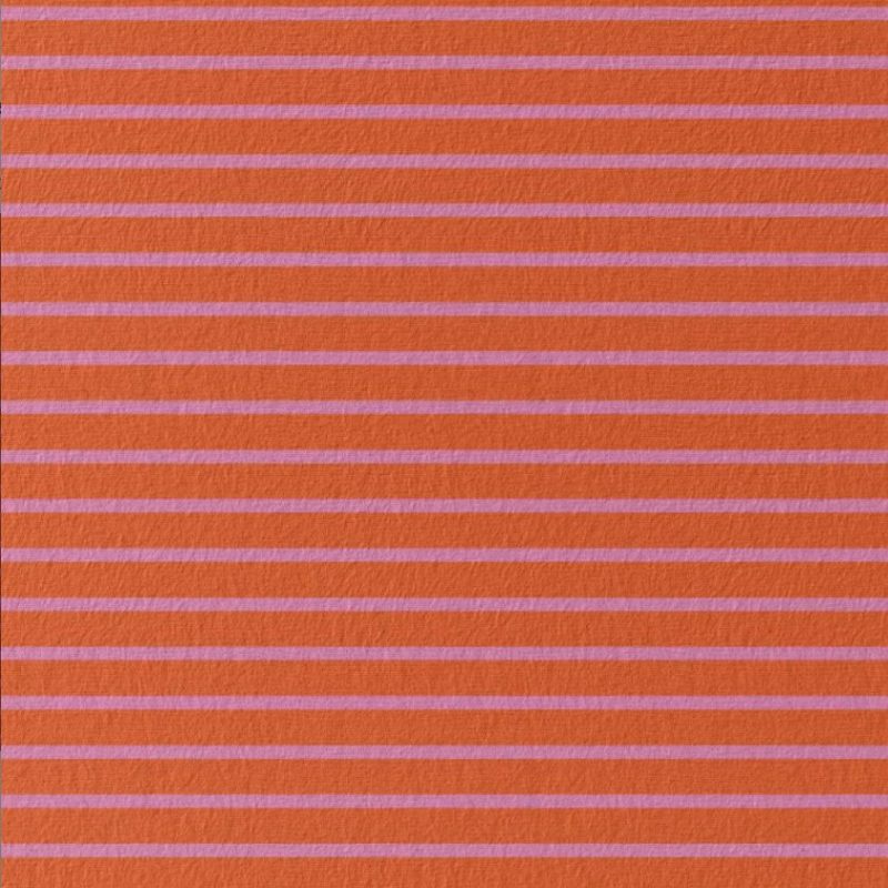 Jersey breton orange rose
