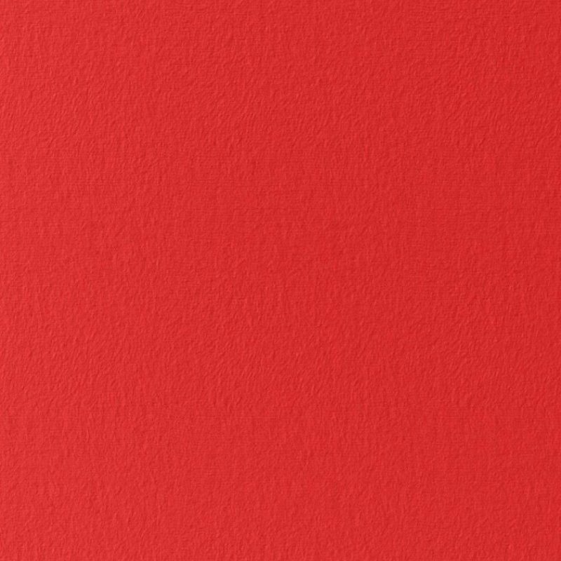 Jersey uni rouge hibiscus