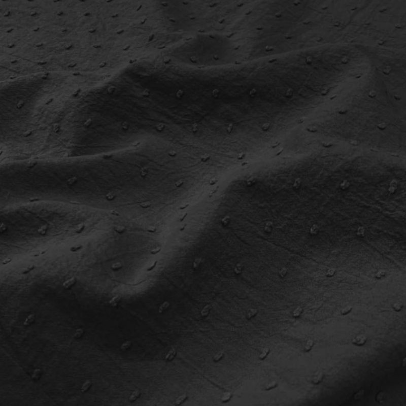 Plumetis uni noir